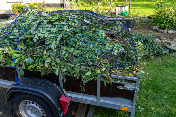 Best Carpet Removal and Disposal  in Central Falls, RI
